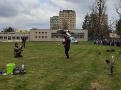 Obrázek galerie - 