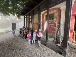 Obrázek galerie - 