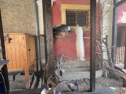 Obrázek galerie - 