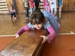 Obrázek galerie - 