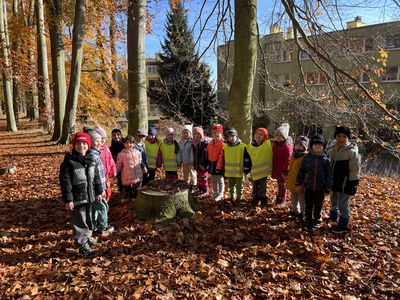 Listopad u Broučků